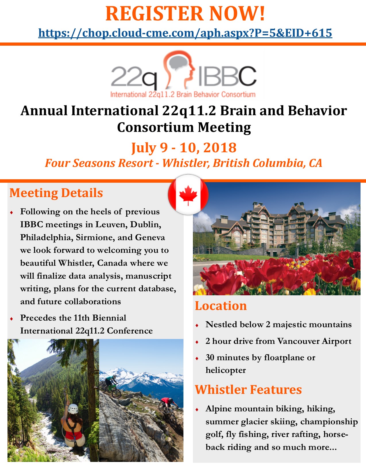 International 22q11.2 Brain Behavior Consortium Annual Meeting Banner